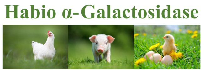 Habio Alpha Galactosidase Powder Water Soluble For Livestock And Poultry Feed 0
