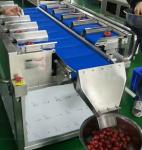 Semi Combination Weigher SUS 304 30 BPM For Food Fruit