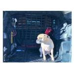 Polypropylene Car Pet Barrier Safety Net 2007-2021 JK Jeep Wrangler JL Pet