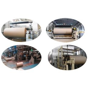Wholesale Fourdrinier A4 Paper Printing Writing Making Machine 2400mm Bagasse Pulp from china suppliers