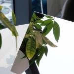 Bright Annealed Stainless Steel Sheet 201 304 Stainless Steel Plate 8 Mirror For