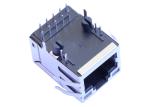 46F-1318RDGDZ2NL Gigabit RJ45 Modular Jack 3G Wireless WAN LPJG16414A52NL