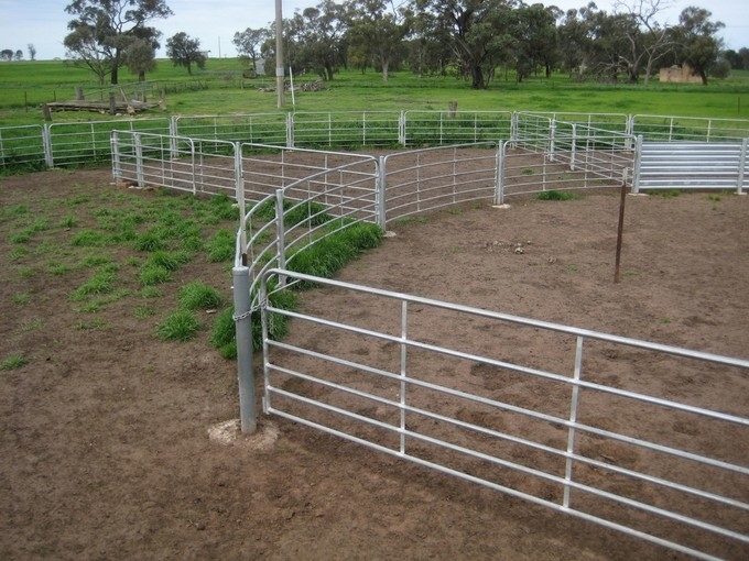 sheep panels for sale