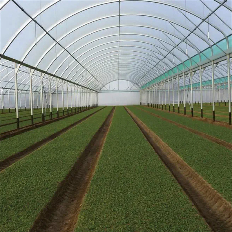 plastic film Hobby Structure Multispan Tunnel Plastic Greenhouse