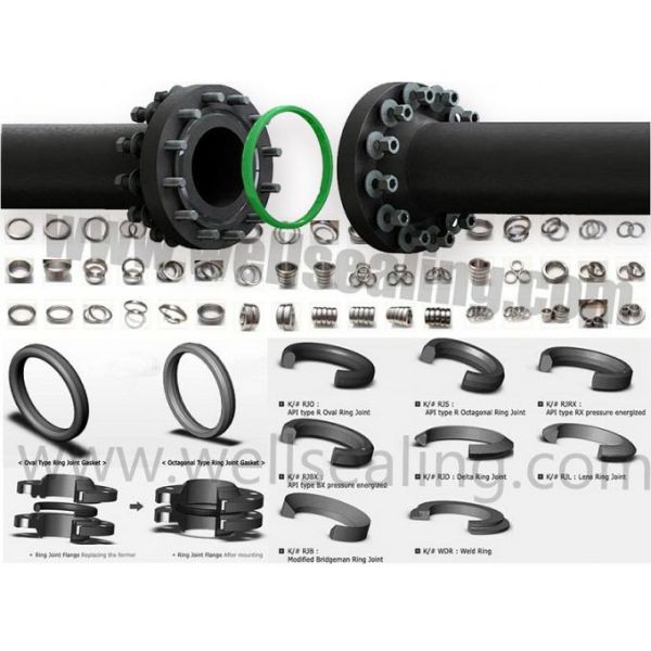 flange octagonal gaskets R20