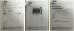 Reda China Co.,Ltd Certifications