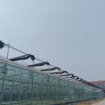 Modular Agricultural Greenhouse For Sale Dome Roof Cover Film Side Cover Multi