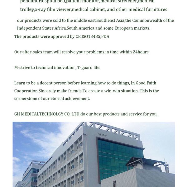 Multifunction Home Health Care Hospital Bed With Toilet Electric Adjustable