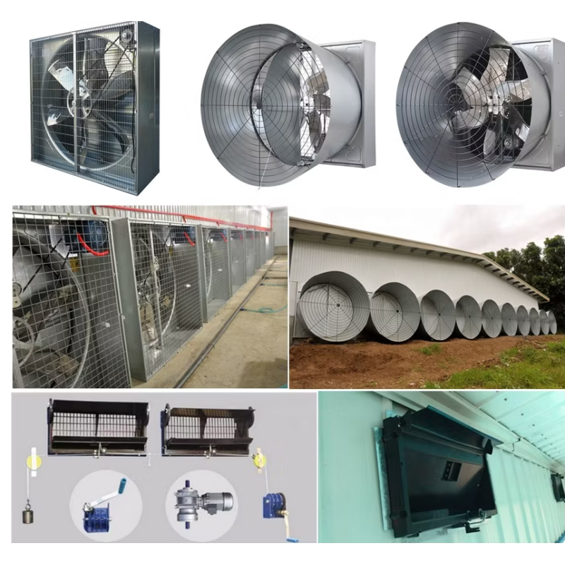 Automatic Poultry Feeding System with Galvanized Steel Construction and Automatic Feeding Control for Chicken Farm Equipment
