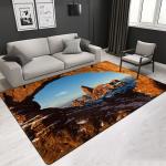 Factory direct sale best quality customized landscape patter Area Rug office