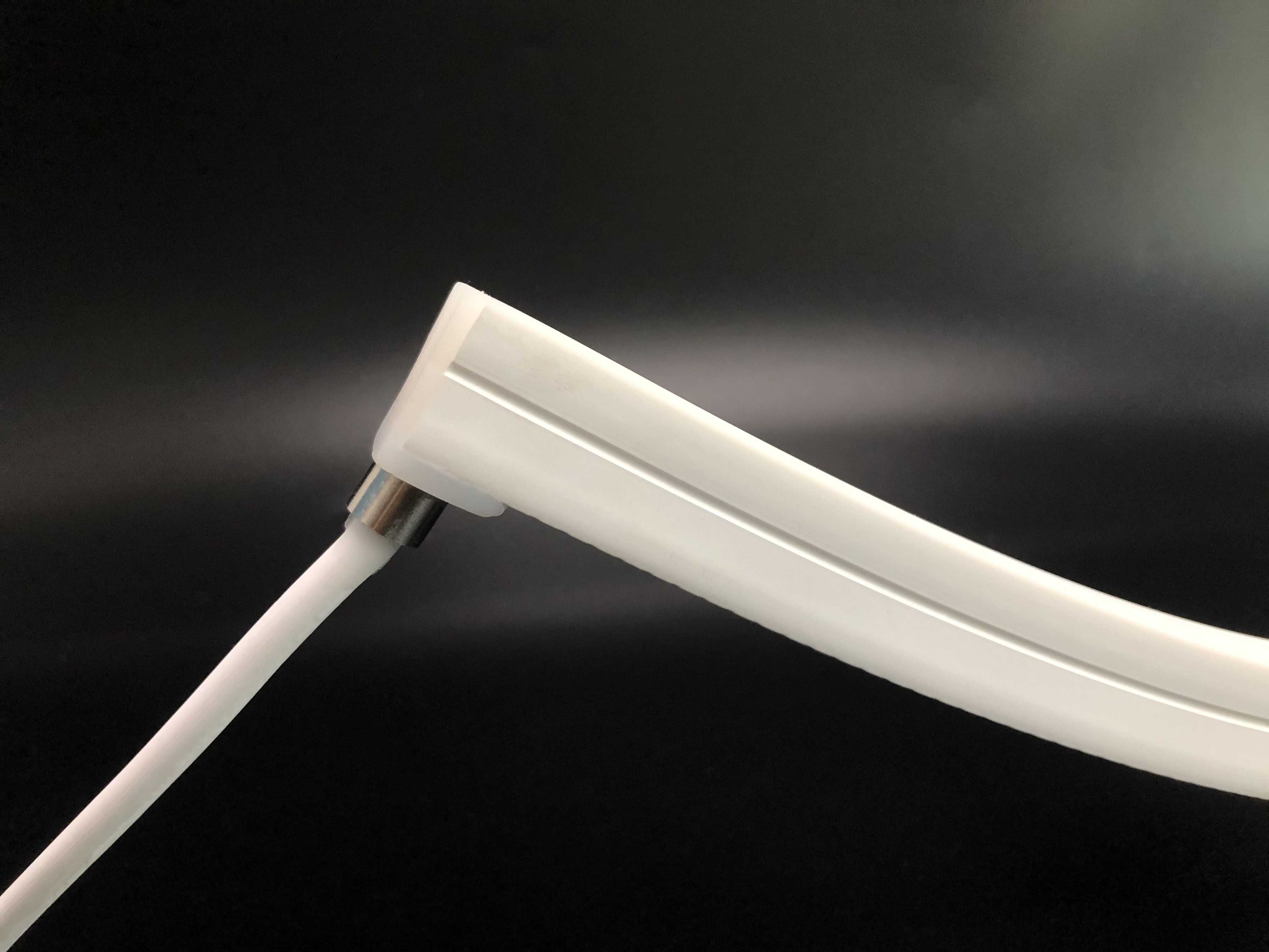 20*20 Top Emitting Led Flex IP67 DC24V Led Neon Flex Strip With Silicone Tube