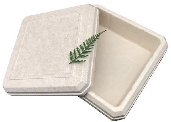 45*45*25MM Beige Color Sustainable Bagasse Box Lightweight EcoPack Accessories
