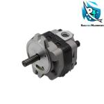 Hot sale good quality PSVD2-21E hydraulic gear pump for SWE50 SWE60 excavator