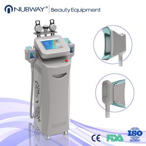 Wholesale High Quality Cryolipolysis Machine for weight loss from china suppliers