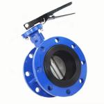 BS 4504 Stainless Steel Double Flange Concentric Butterfly Valve Standard Port
