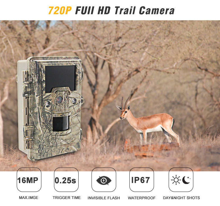 940nm IR Wildlife Hunting Camera Infrared Scouting 12MP HD Auto PIR