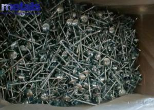 Wholesale Flat Head 3 Inch Outdoor Electrogalvanized Nails from china suppliers