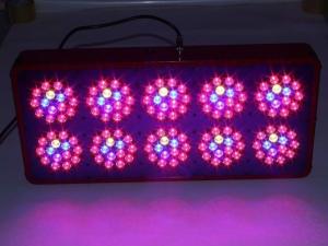 Wholesale Hotest grow lights Model Full Spectrum 450W LED Grow Light for Indoor Plant Growing from china suppliers
