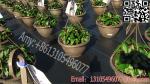 black pp woven silt fence weed barrier fabric heavy duty landscaping mat fabric
