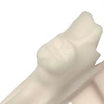 Dental Opposite Jaw Modeling Resin