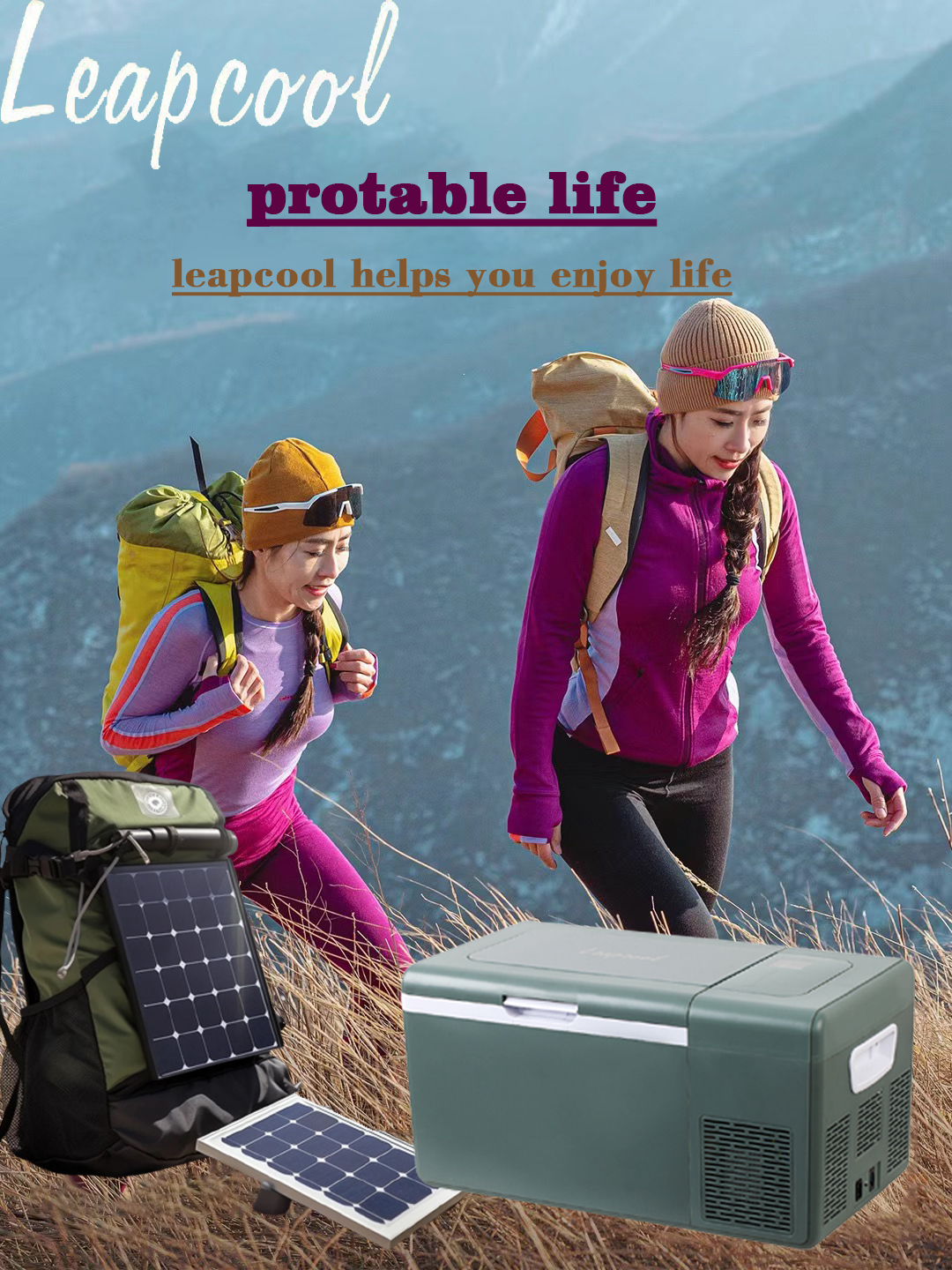 Portable 25L Single Zone Car Fridge Beach Vacation Design Style -22.00000000000004 C