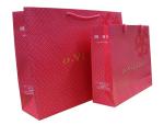 OEM Recyclable Ayilian Pink 210g Artpaper Shopping Bag, Paper Carrier Bags