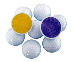 Wholesale range golf ball/ two piece golf ball/2PC Golf practice ball/golf ball from china suppliers