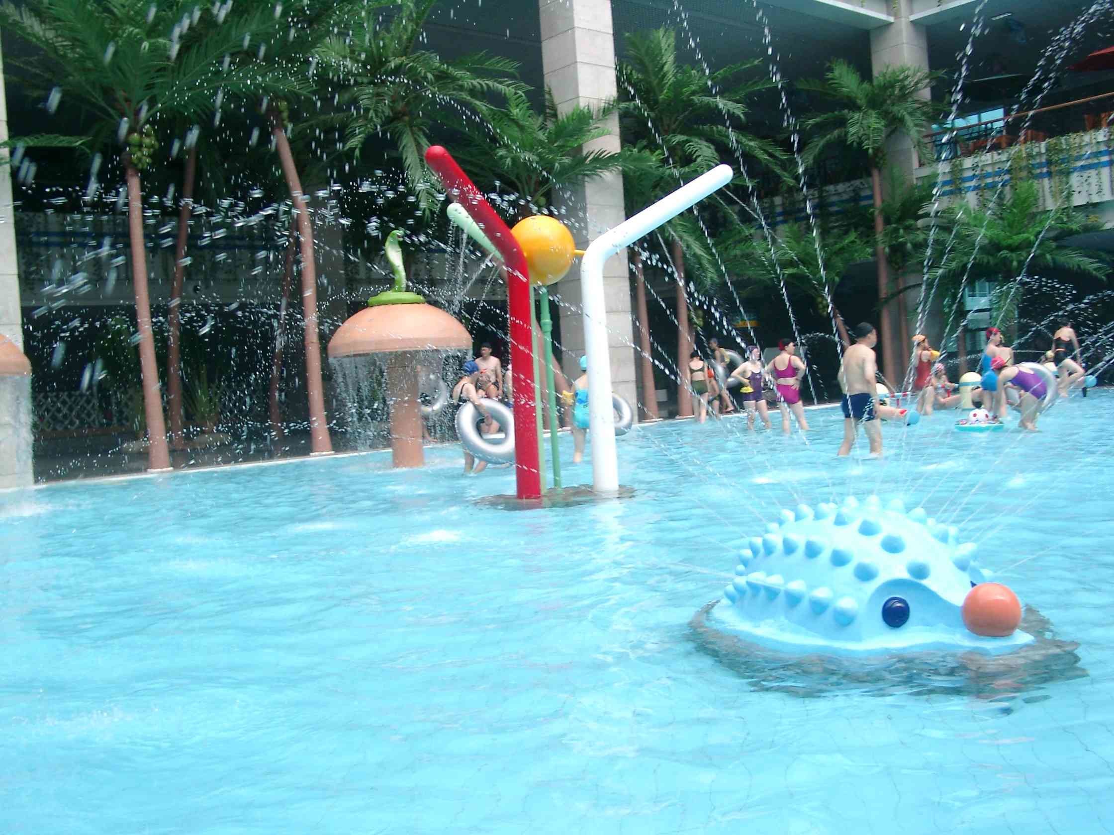 Spray Aqua Park Equipment Hedgehog Shaped Water Playground With Raining