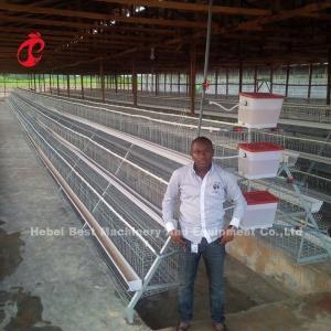 China Angle Bar Frame Poultry Battery Cage System H Type Layer Chicken Cage Africa Doris on sale