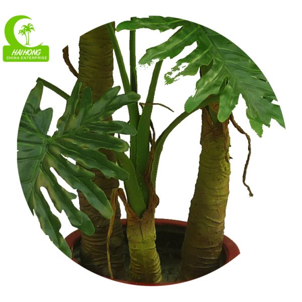 SPLIT PHILO PLANT X3
