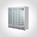 Beverage Refrigerator with Double-Temperature Air-Cooled Glass Door and Painting