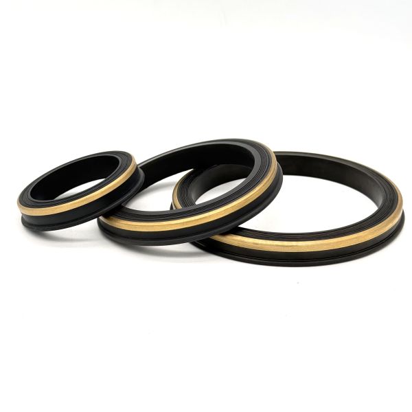 FKM Hammer Union Seals FIG 602 1002 1502 for Oil and Gas Industry