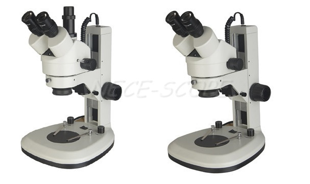 High Magnification Trinocular Stereo Zoom Microscope With Digital Camera WF10× / 20mm