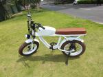 DOMANCA Vintage Moto Style Electric Bike 7 Speed Gears 70-80 Nm Torque Fat Tire