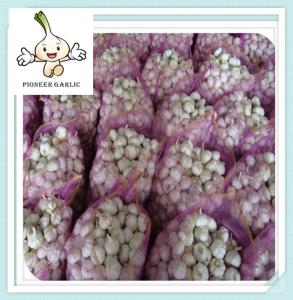 Wholesale 2016 New Crop Fresh Garlic Snow White Garlic 5.0CM Up (500g/Mesh Bag) from china suppliers