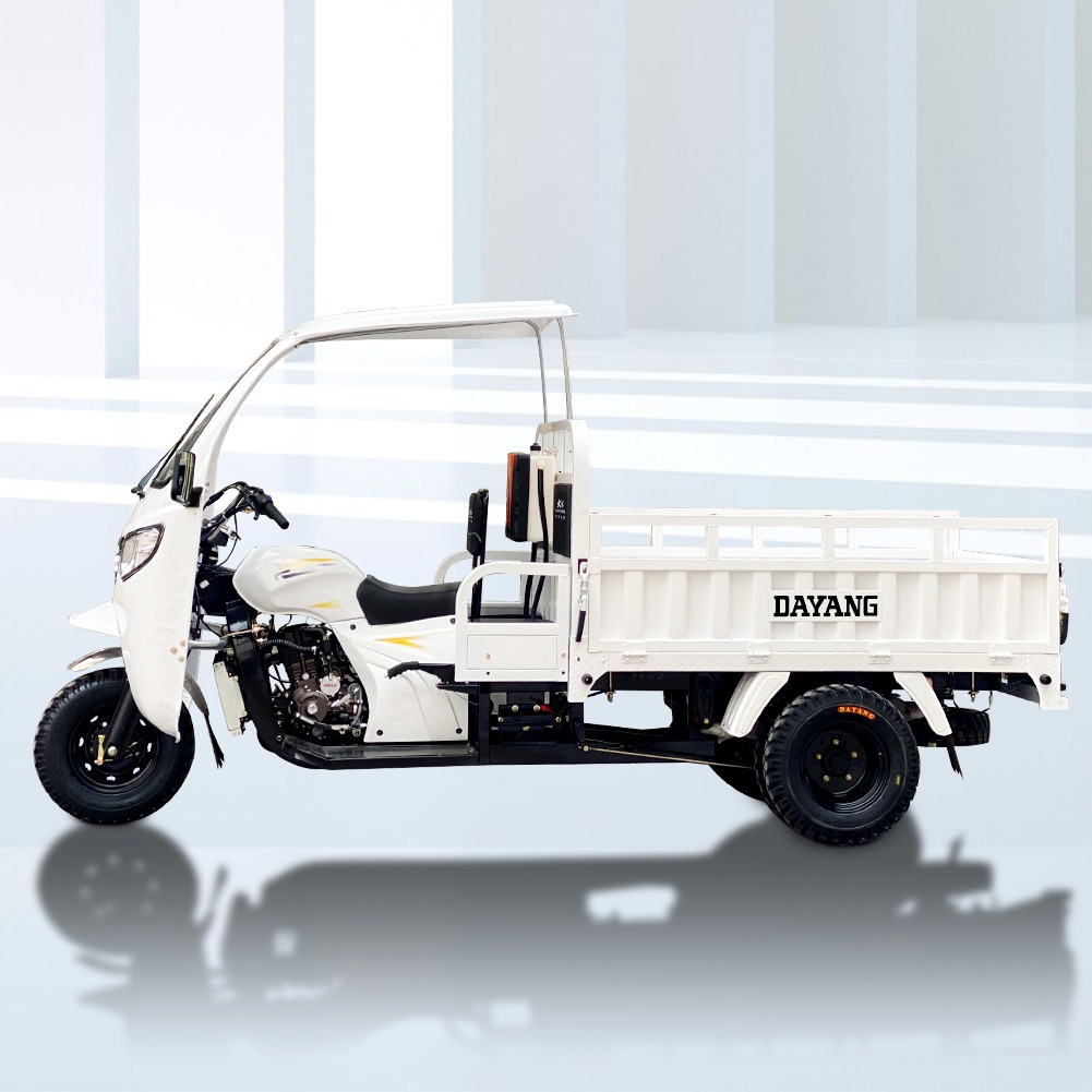 Standard Size 3 Wheel Gasoline 200cc/250cc/300cc Motorcycle Engine Cabin Cargo Tricycle