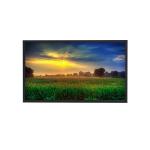 55inch High Brightness Waterproof Digital Signage Advertising Displays 2500nits