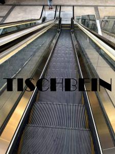 China VVVF Commercial Shopping Mall Escalators 0.5m/s Indoor Outdoor With 1000mm Step Width And Emergency Stop on sale
