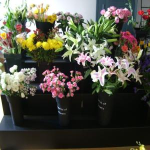 Wholesale Black Coroplast Floral Display Stand PP Corrugated Plastic 4 Step Durable from china suppliers