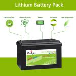 Longlife Cycles 12V LiFePO4 Battery 12v 100ah Li Ion Battery Solar Systems