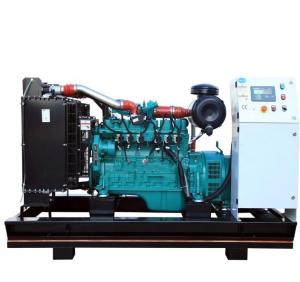 Wholesale CE/ISO9001 Certified Supply 10kw50kw 100kw 150kw 200kw 300kw 500kw Biogas Generator from china suppliers