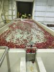 Water Saving Energy Saving Fruit Concentrated Apple Juice Jam Production Line