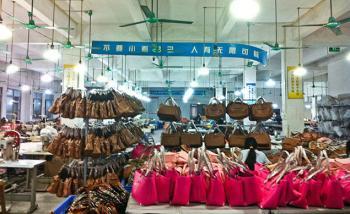 Guangzhou Daizili Leather Factory