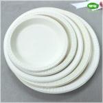 Biodegradable Corn Starch Plastic Plate 6 Inch,Easy Green Bioplastic Plate 7inch