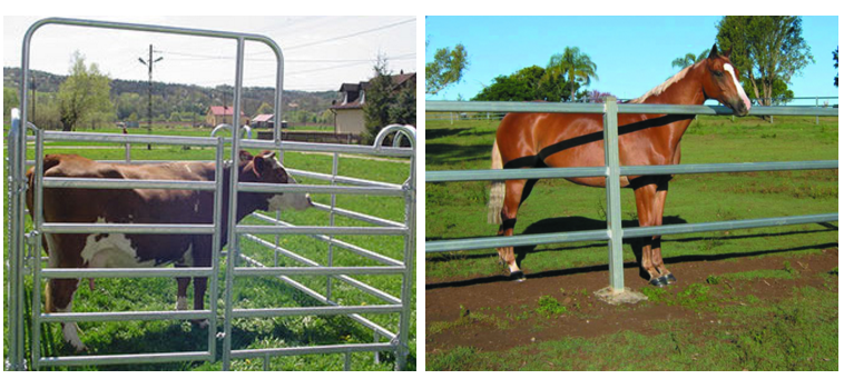 High quality galvanized goat fence gate / metal animal farm fence panels