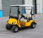 CE approved electric golf buggy 2 seats mini golf cart made in China electric