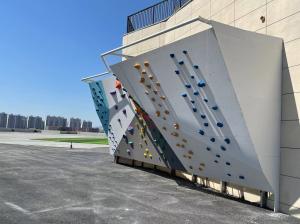 Wholesale Corrosion Proof Boulder Climbing Wall Gymnasium Overhang Huge Rock Climbing Wall from china suppliers