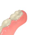 Semi Transparent Pink Biocompatible 3d Resin Light Curing Dental Resin