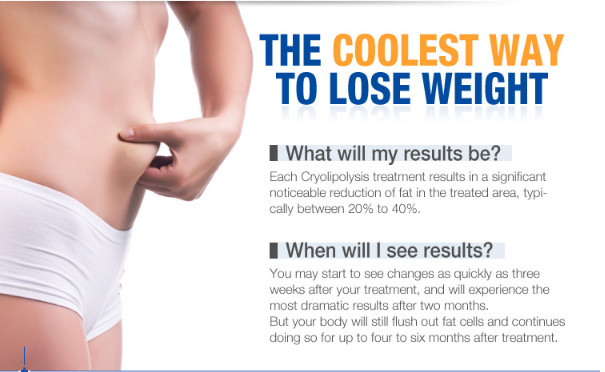 4 Handles Fat Freezing Cryolipolysis Body Slimming Machine For Weight Loss / Cellulite Reduction