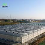 Agricultural Multi-Span Plastic Tunnel Film Greenhouse with Eaves Height from 3m
